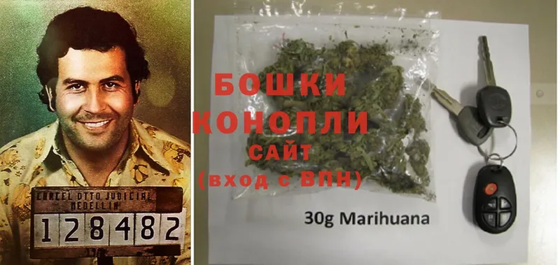 Бошки марихуана Ganja  Дегтярск 